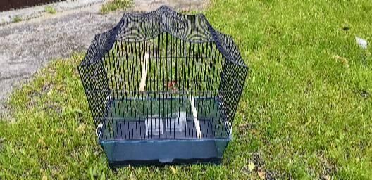 Klatka dla kanarka lub papużki, dwie różne do wyboru.