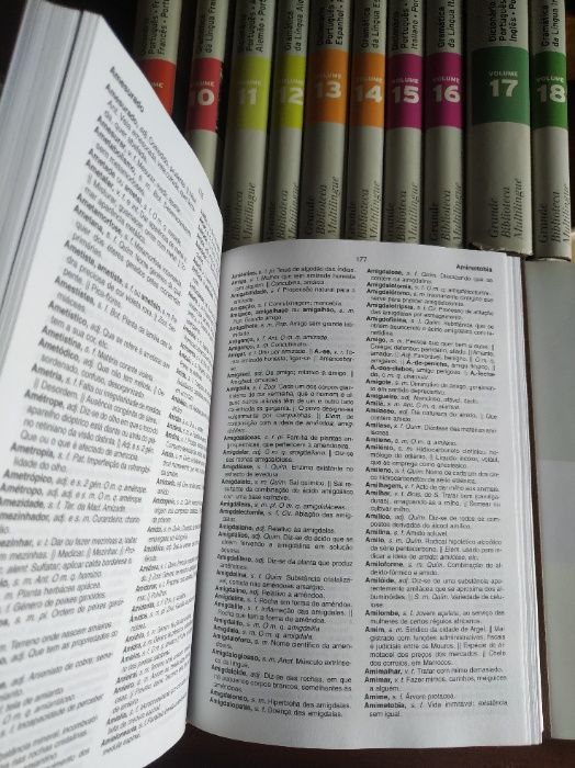 Coleção de dicionários "Grande Biblioteca Multilingue" - 18 Volumes
