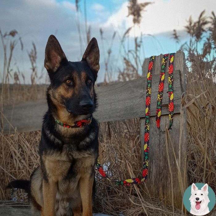 mata ochronna do klatki wybiegu boksu dla psów szczeniaków 92x47 cm