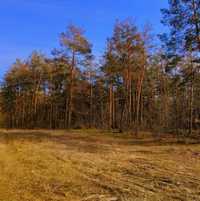 Продам дом в Обуховке напротив леса