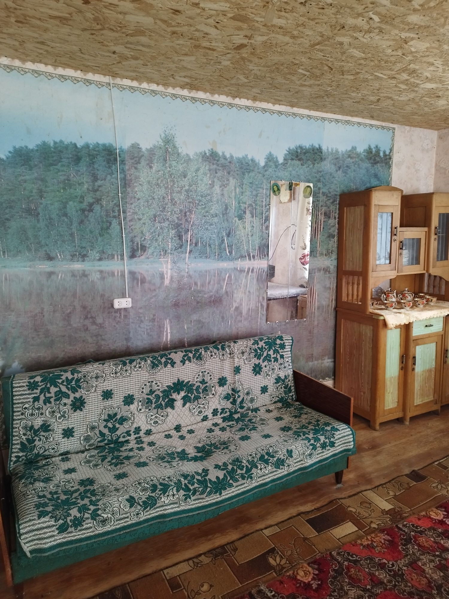 Будинок в с. Перегонівка