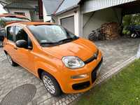 Fiat Panda Fiat panda z polskiego salonu