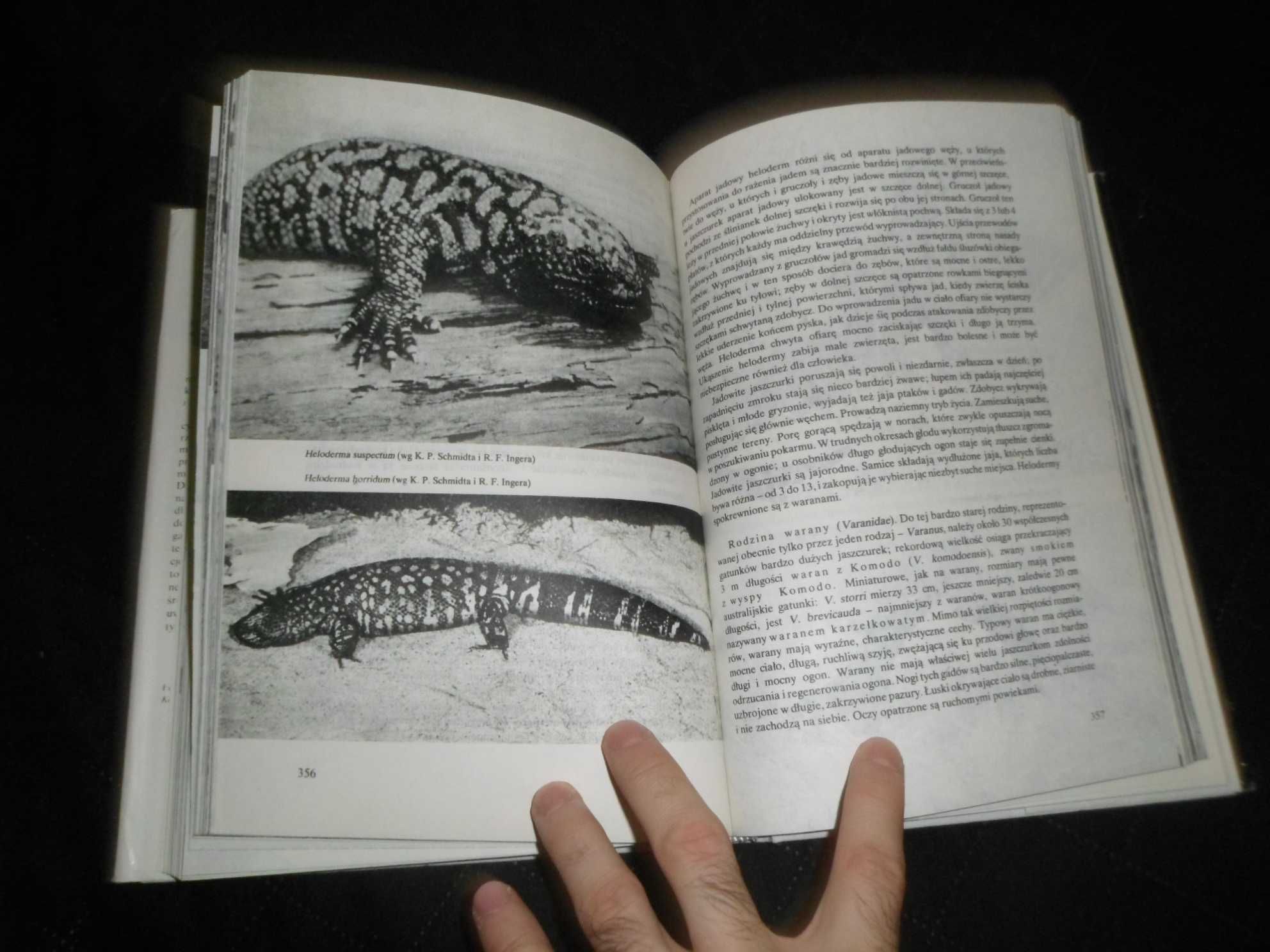 Gady [zwierzęta świata ]  - Hanna Dobrowolska