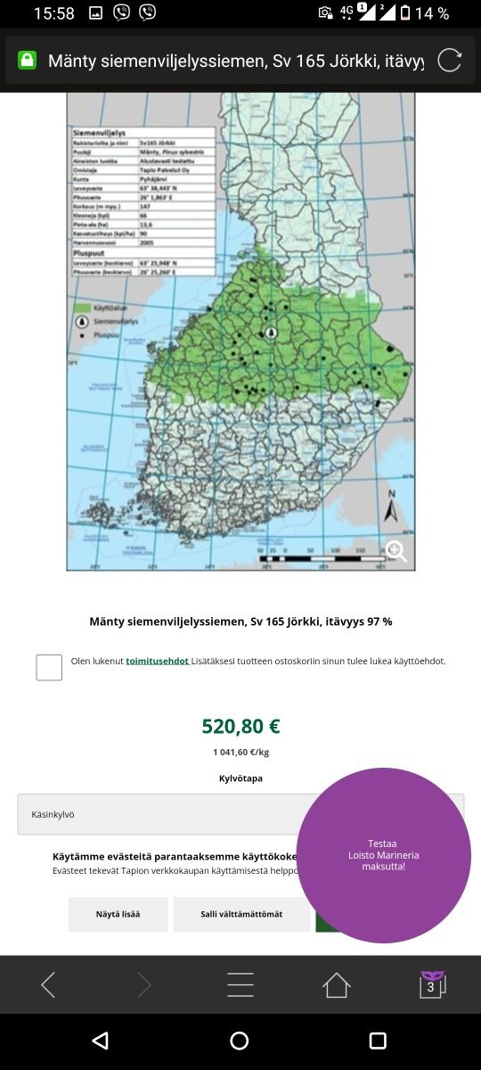 Насіння фінської сосни  0.5 кг, семена финской сосны