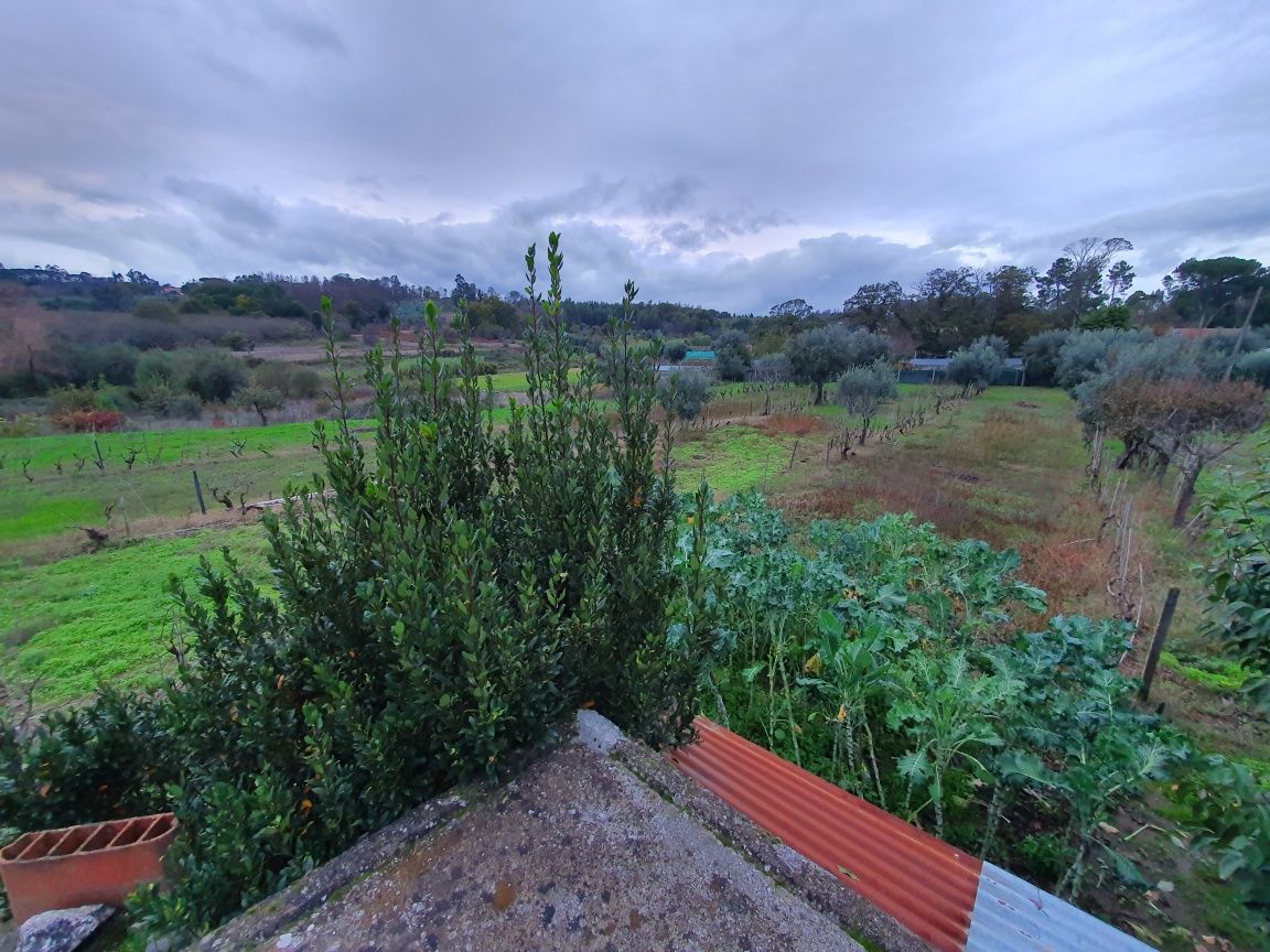 Terreno/Quinta 11.000m