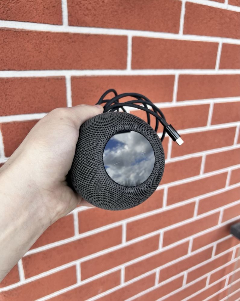 Apple HomePod mini IGŁA / Czarny