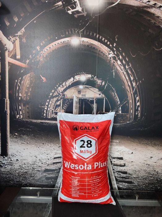 Ekogroszek workowany 28kj. wesoła plus