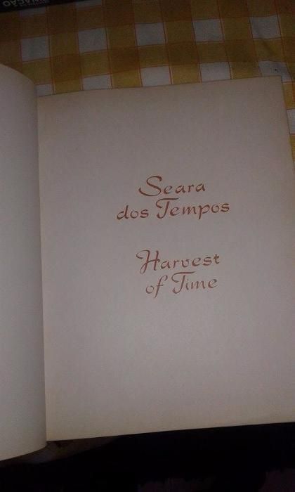 Seara dos Tempos - Harvest of Time - Angola'