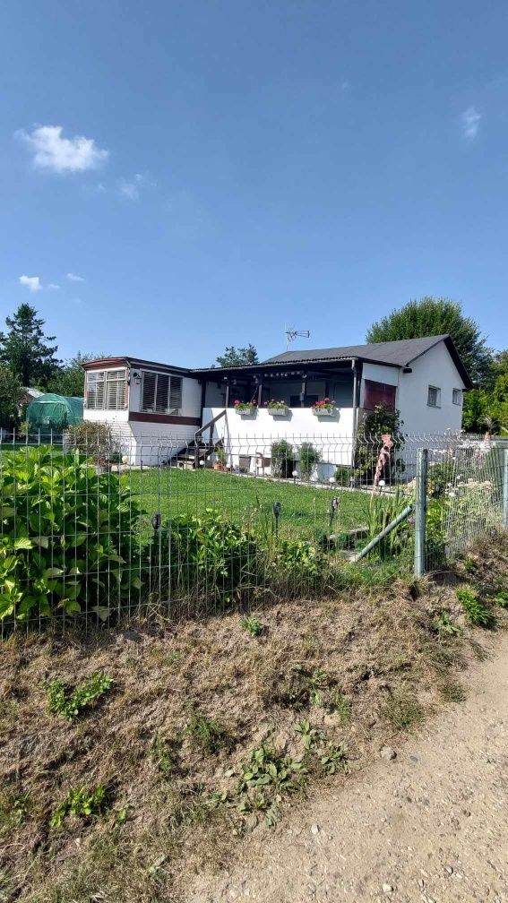 Przeniesienie prawa do dzierżawy działki ROD ,, przylesie"