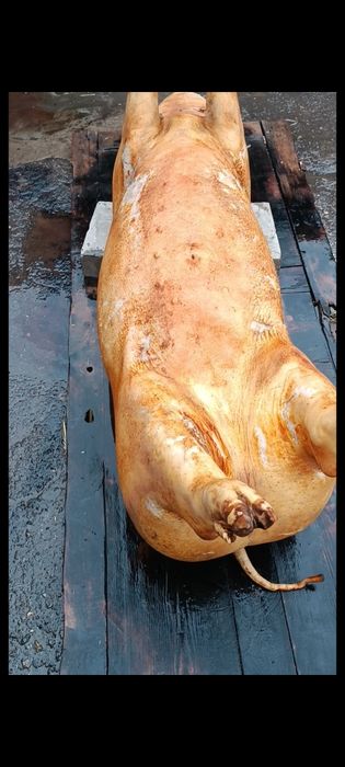 Свежее домашнее мясо свинина!