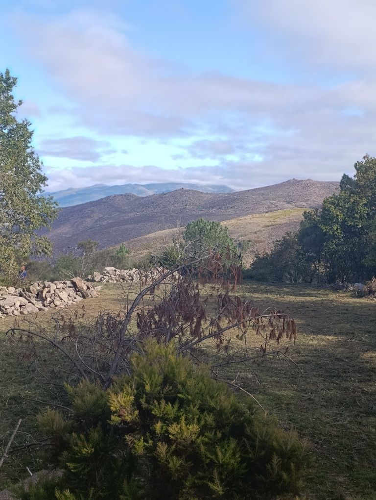 Limpeza de terrenos