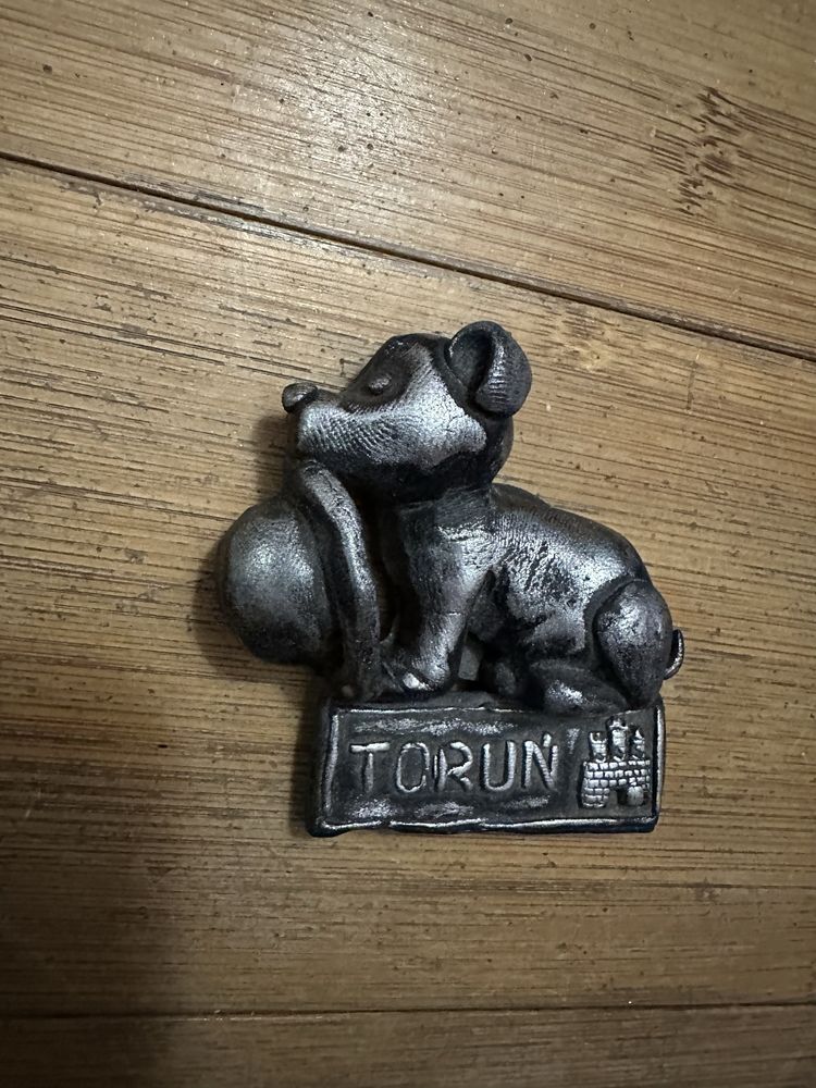 Magnes piesek z kapeluszem z Torunia Toruń