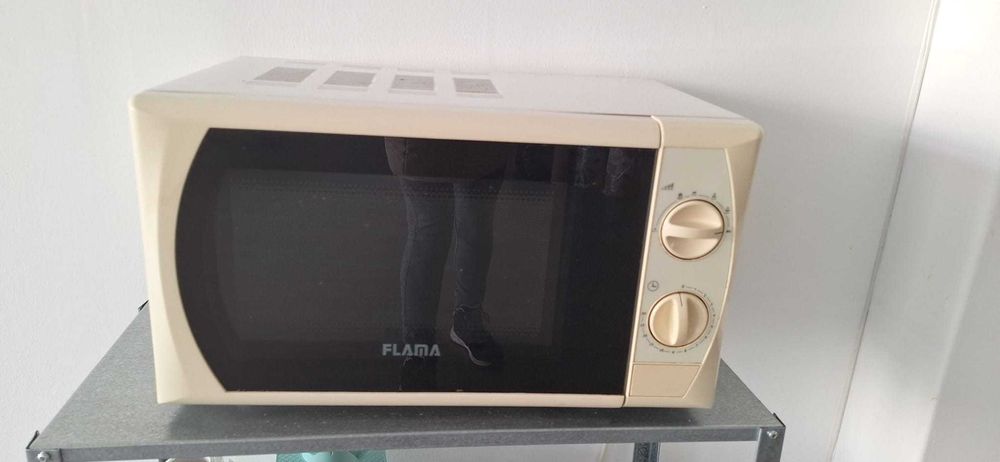 Microondas Flama