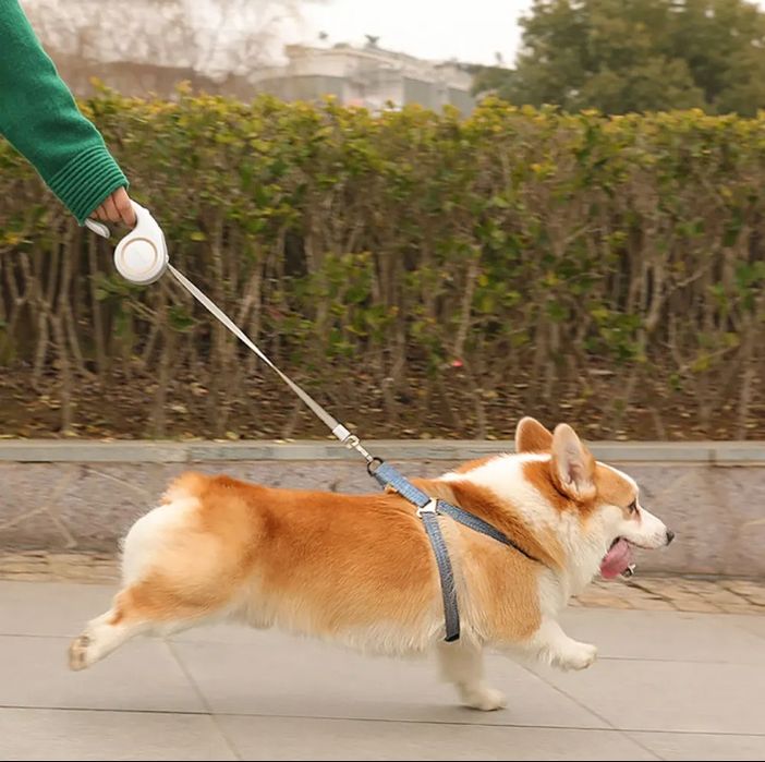 Поводок рулетка скарб для господарів для собак 3 м