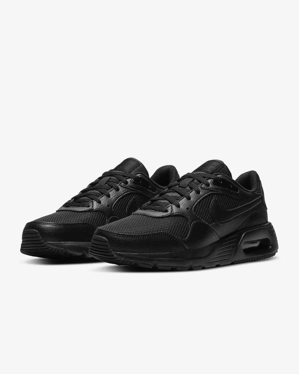 Кросівки Nike Air Max Sc One Take Initiator(40р по 49.5р) (CW4555-003)