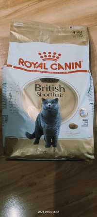 Sucha karma dla kota Royal Canin mix smaków 4 kg
