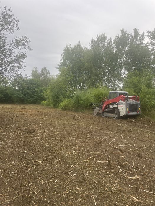 Wycinka drzew / karczowanie działek, przycinanie tui