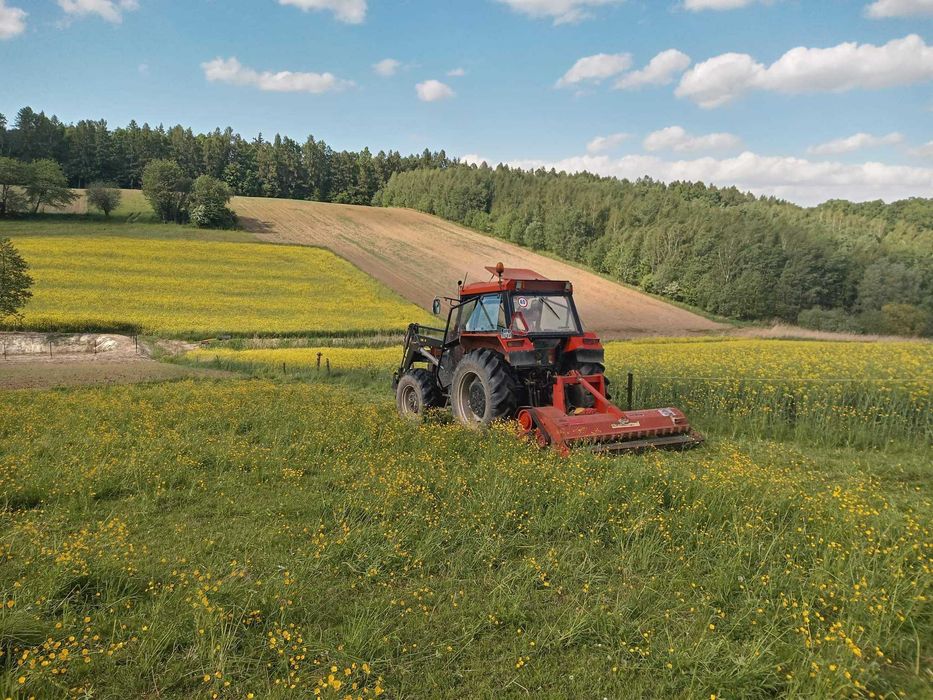 Wycinka Drzew Lasów Koszenie Traw Uslugi Podnosnik Koszowy MiniKoparka