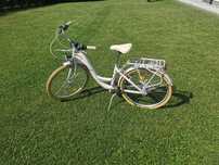 Rower damski Romet Panda 1