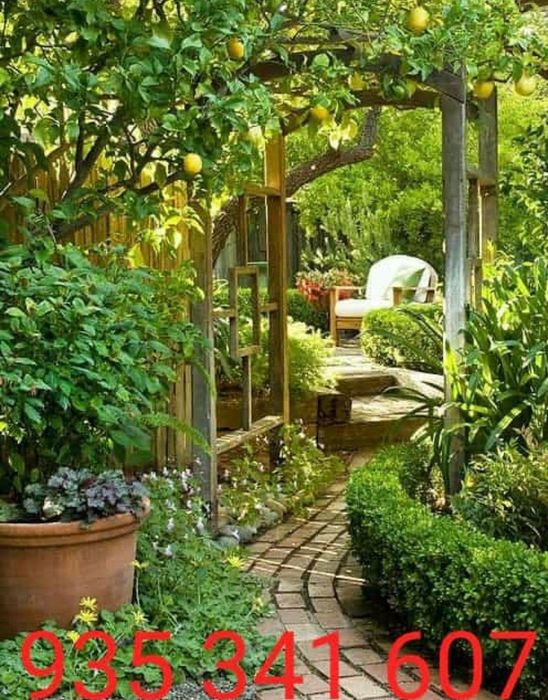 Faço trabalho de jardinagem,limpeza/manutenção de jardins,terraços,...