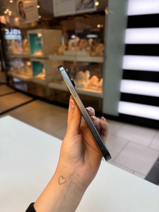 iPhone 15 Pro Max 256 GB Black Titanium