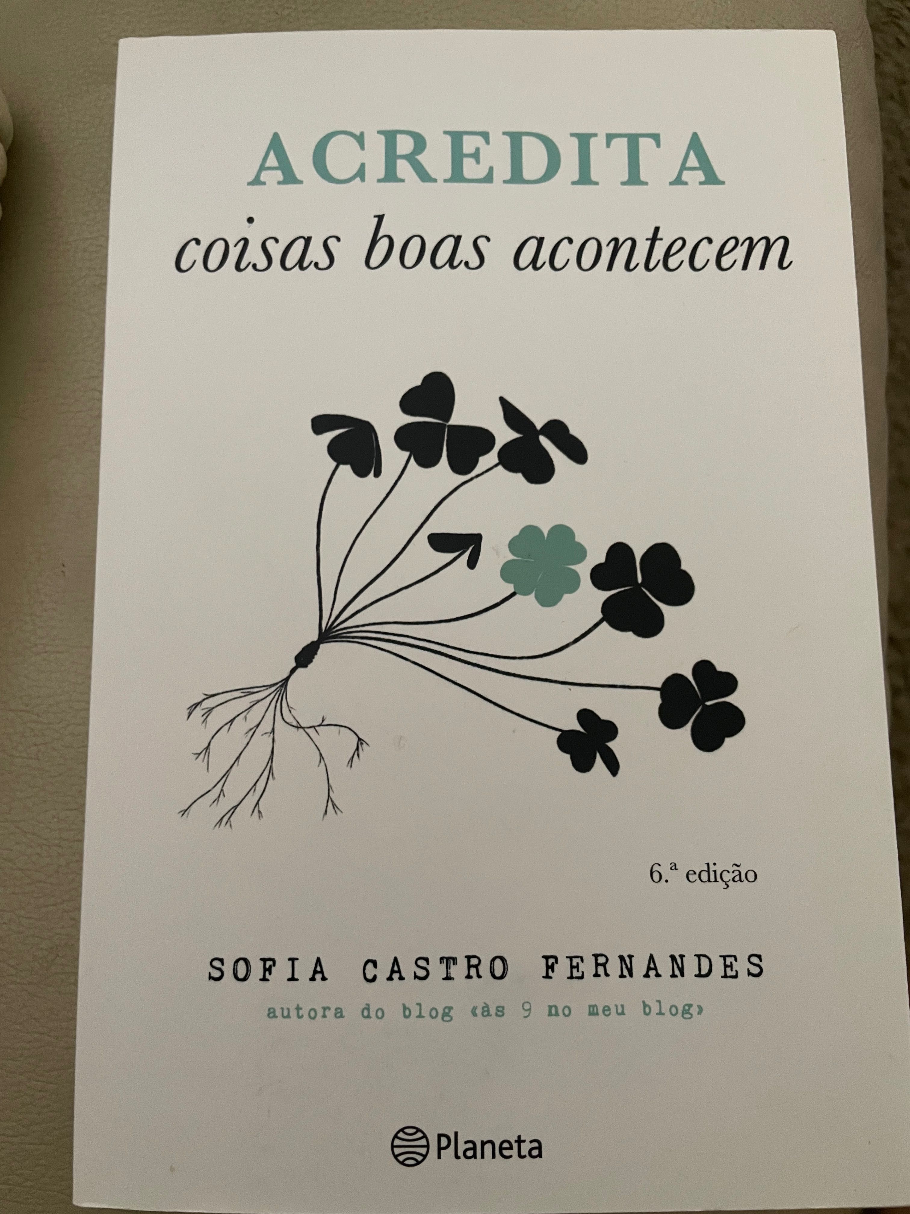 Acredita - Sofia Castro Fernandes