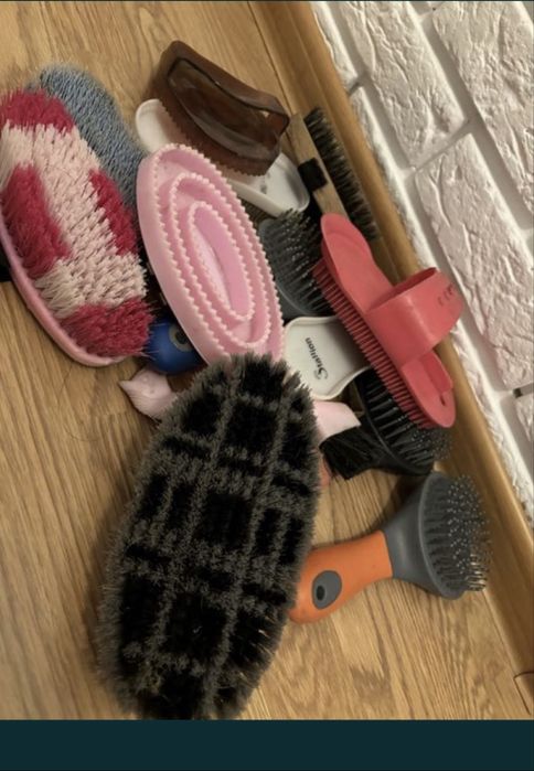 Szczotki dla konia  (zestaw)