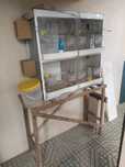 Vendo gaiola completa