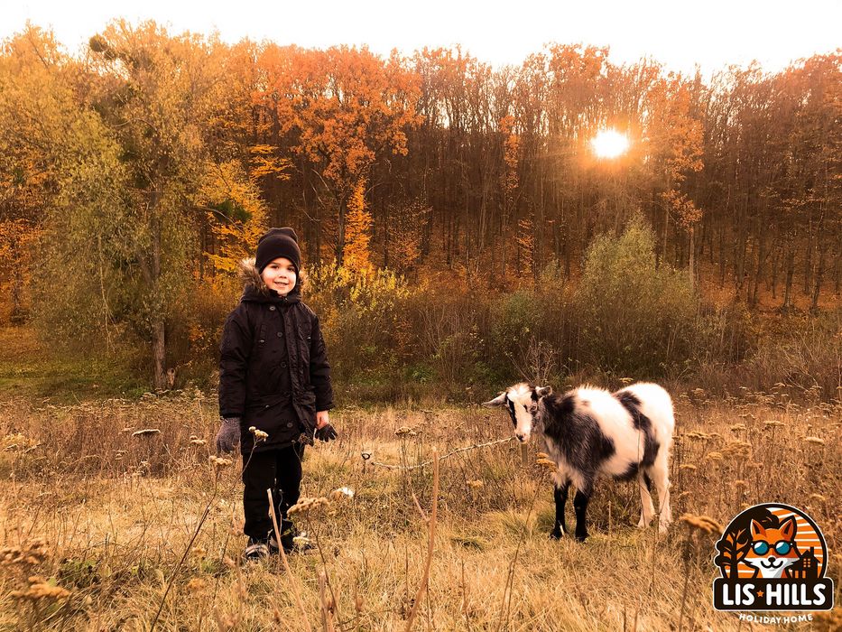 Шале з Басейном та Чаном! Будинок Софіївка дом посуточно  подобово