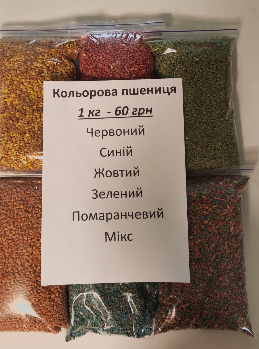 Кольоровий рис , горох цілий, пшеницядля сенсорики, для занять