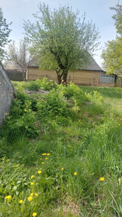 Продам будинок Овруч