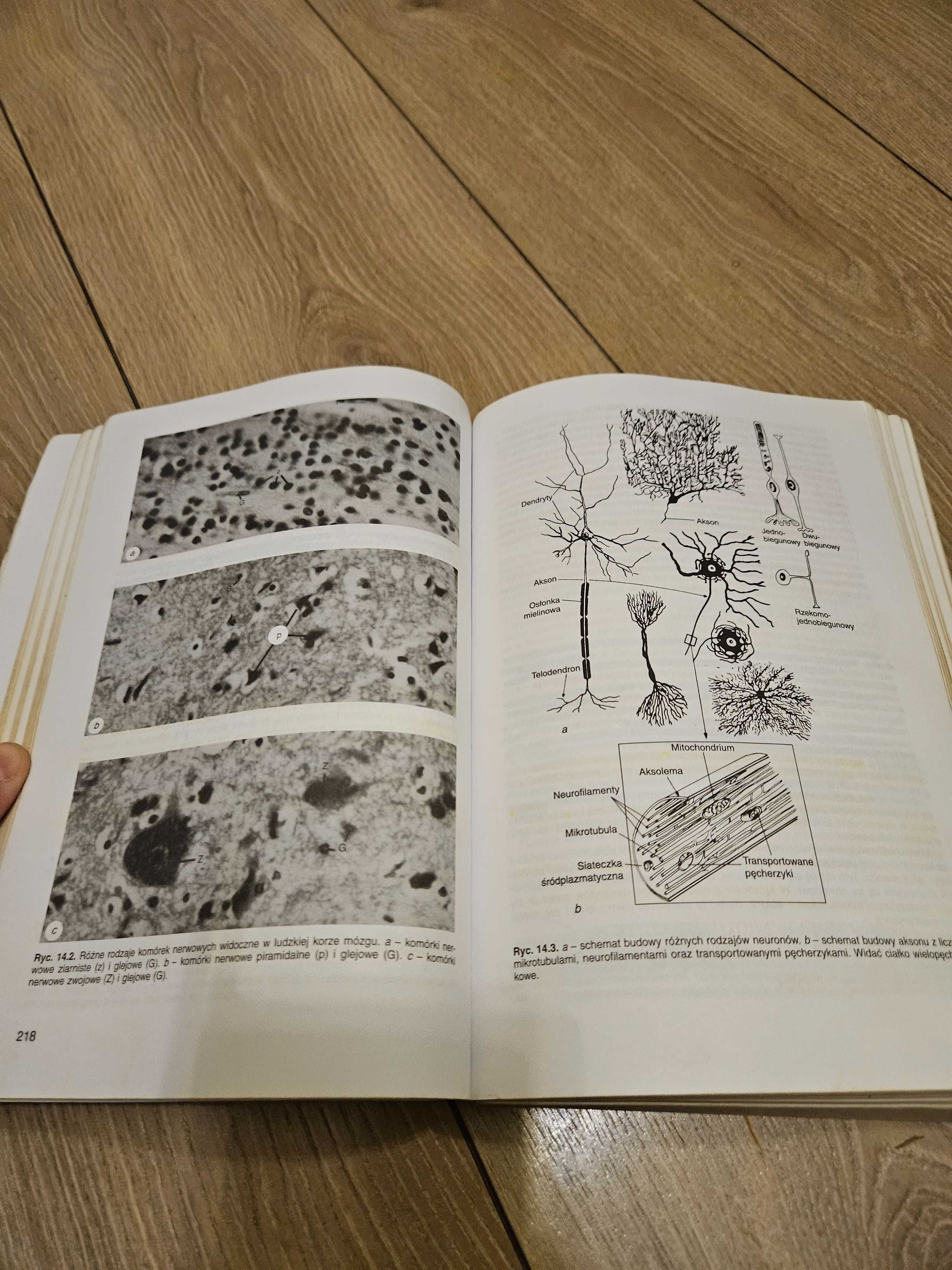 Histologia Wojciech Sawicki