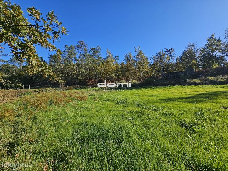 Terreno rústico de 26.258,50 m², com pequena ruína para recuperar