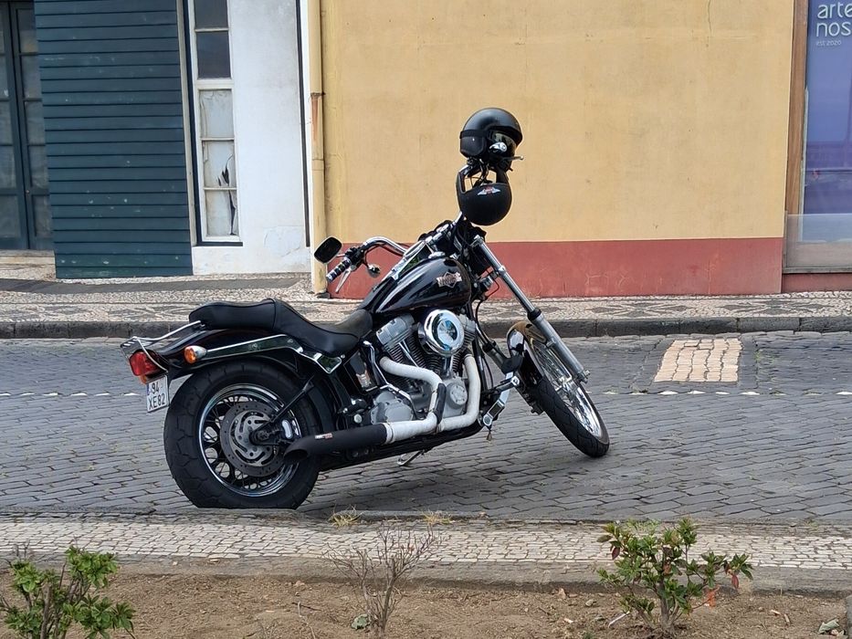 Harley Davidson softail