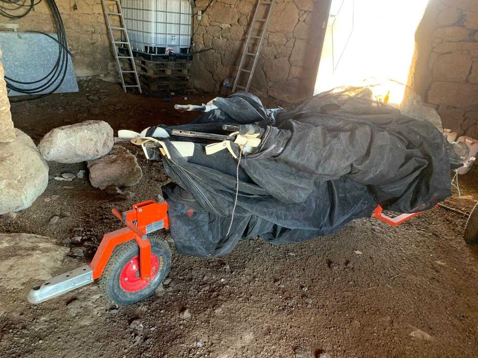 Rede professional para aceitona