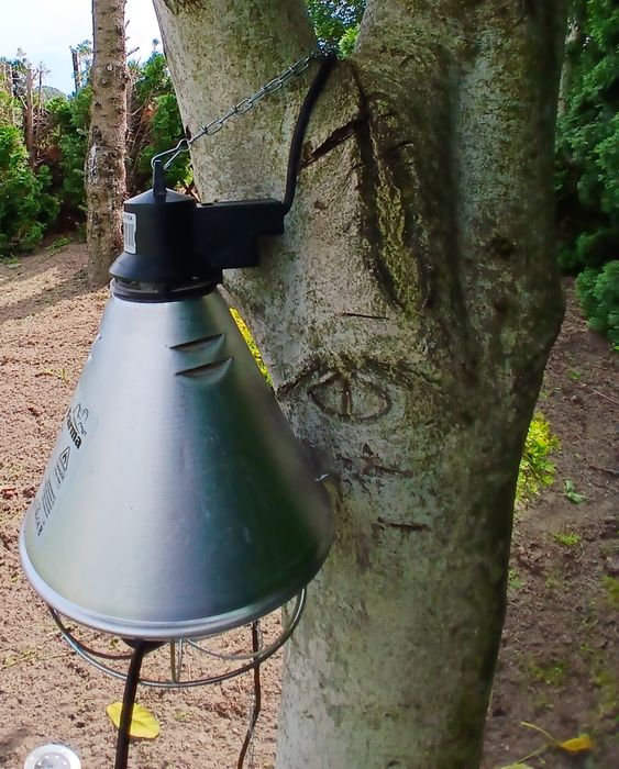 Lampa grzewcza, żarówka cieplna do kurnika, Promocja! ,