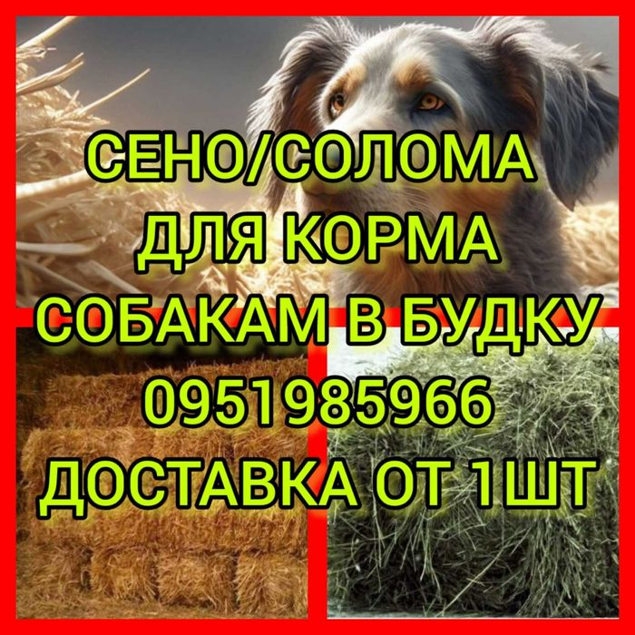 СІНО СОБАКАМ в будку в тюках (кукурузне и др), сено для корма, декор.