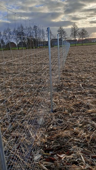 Komplet ogrodzenie z siatka leśna słupki stemple tymczasowe budowlane