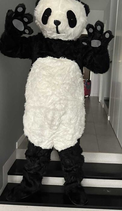 Żywe maskotki wynajem wysyłkowy strojów Misio Piesek Panda Kot Smok