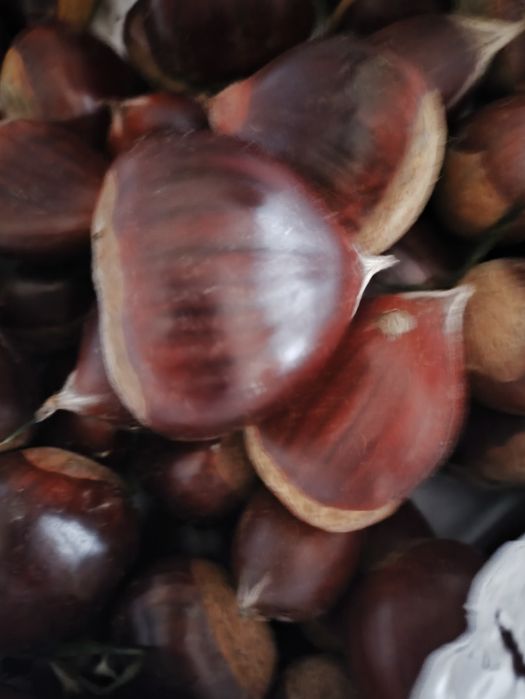 Castanhas boa qualidade 2€ entrega Braga e Vieira do Minho