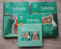Sobotta- 1 i 2 tom Atlasu anatomii człowieka