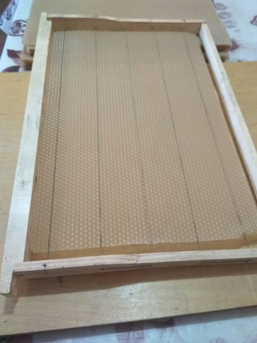 Рамка пчелиная. пчелы