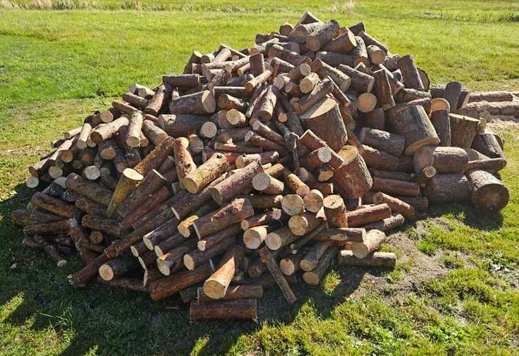 Drewno opałowe - Sosna