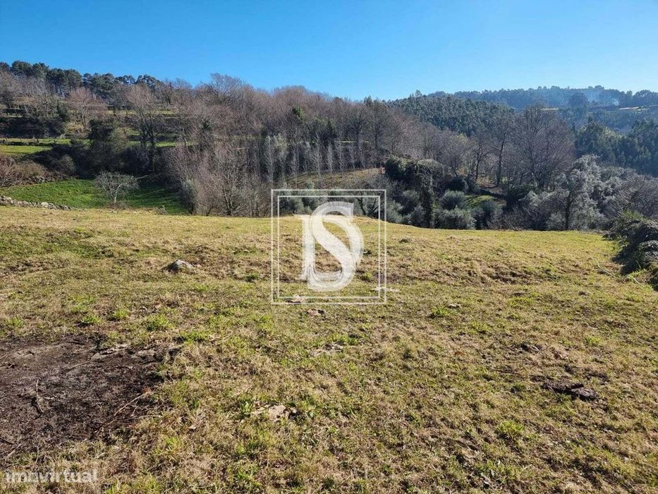 Terrenos não urbanizáveis para venda em lote ou individualmente- Pinhe