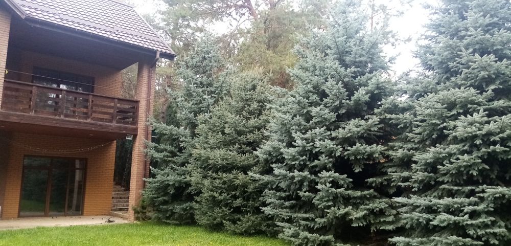 Сдам дом в безопасном тихом месте.поселок Артюховка Змеевского р. 2 эт