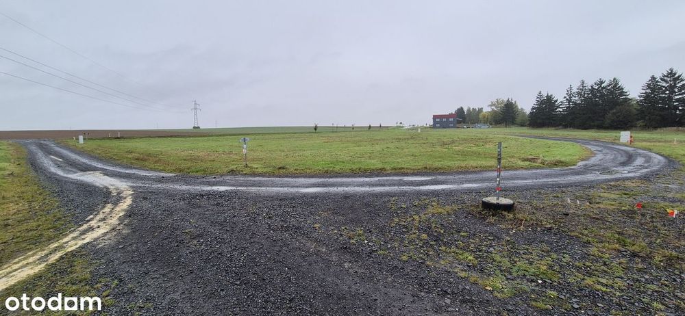 Wynajmę działkę w Kozowie 41 arów przy drodze  Złotoryja Legnica plac