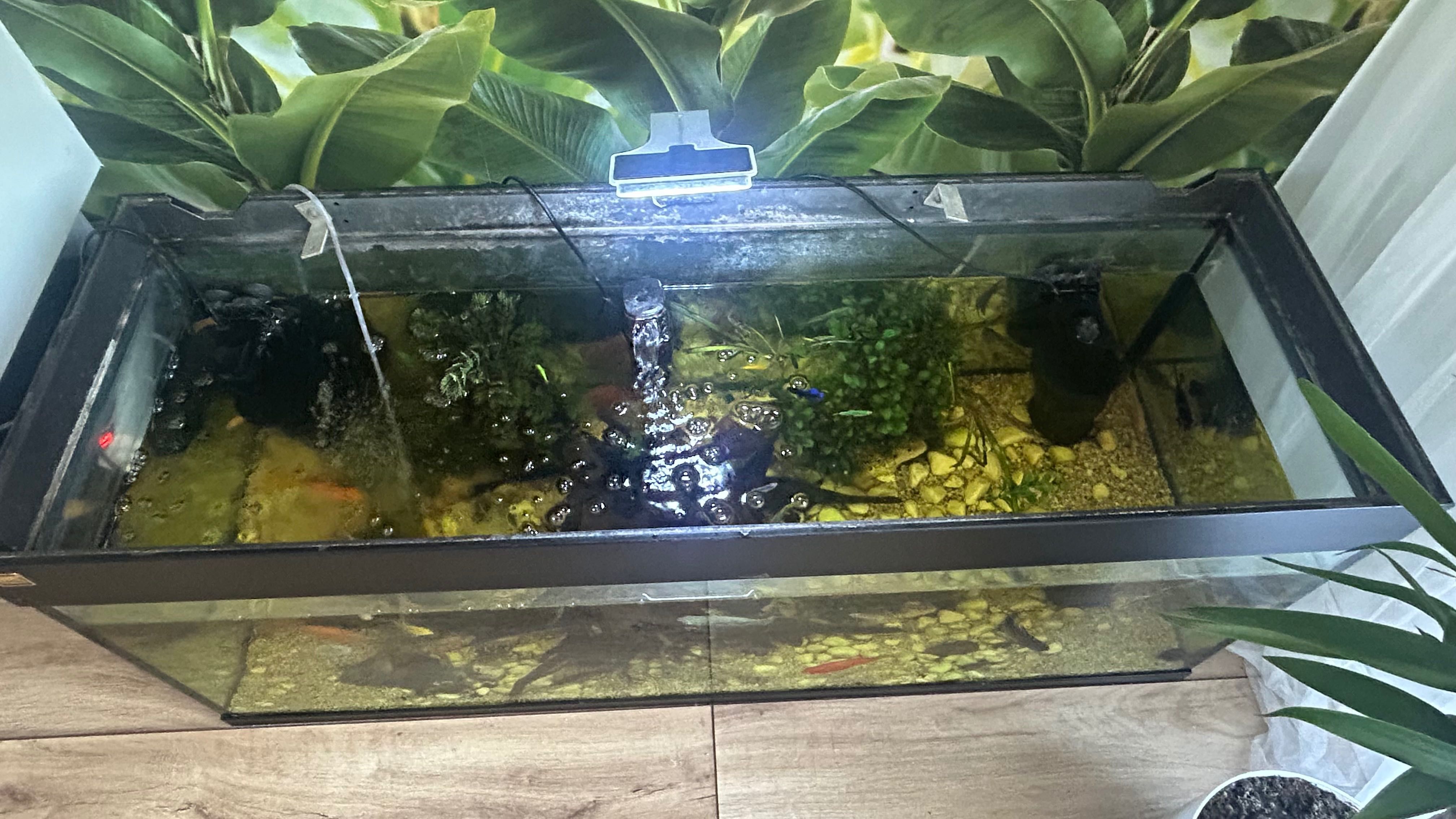 Akwarium JUWEL 240l