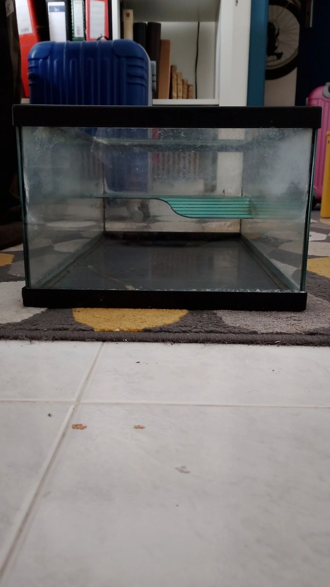 Aquário tartaruga