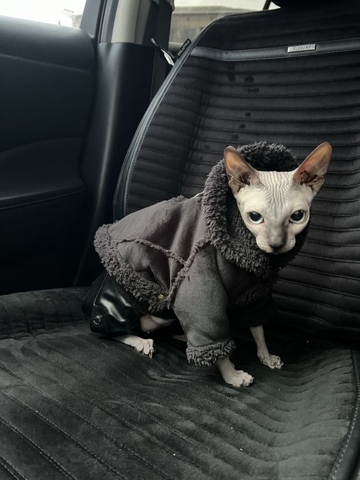 Сфінкс резинка сфинкс