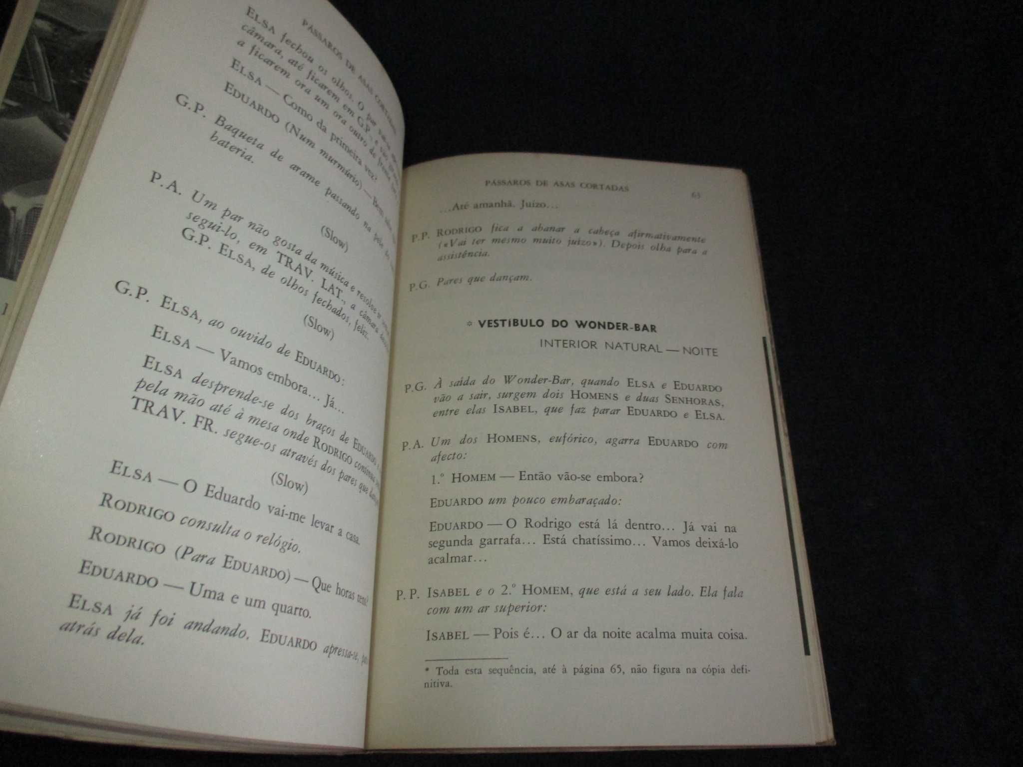 Livro Guião Pássaros de Asas Cortadas Luís Francisco Rebelo